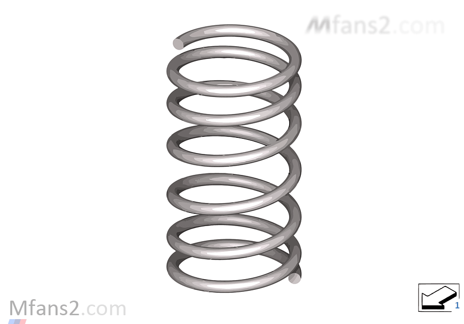 Front coil spring