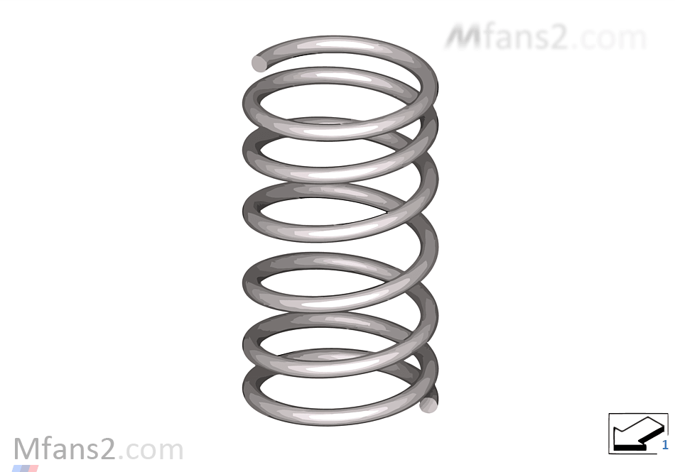 Rear coil spring