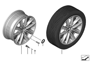 BMW 輕質合金輪輞 V 式輪輻 307