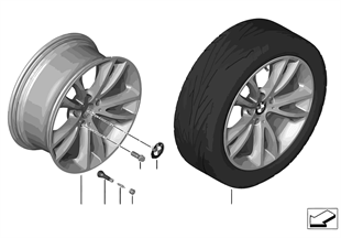 BMW 輕質鋁合金輪輞 V 型輪輻 366 - 19''