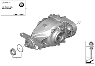 Rear differential / Mount