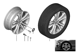 BMW 輕質鋁合金輪輞 雙輪輻 384 - 18''