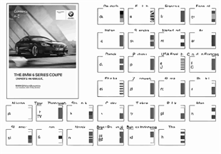 Manual do condutor F13
